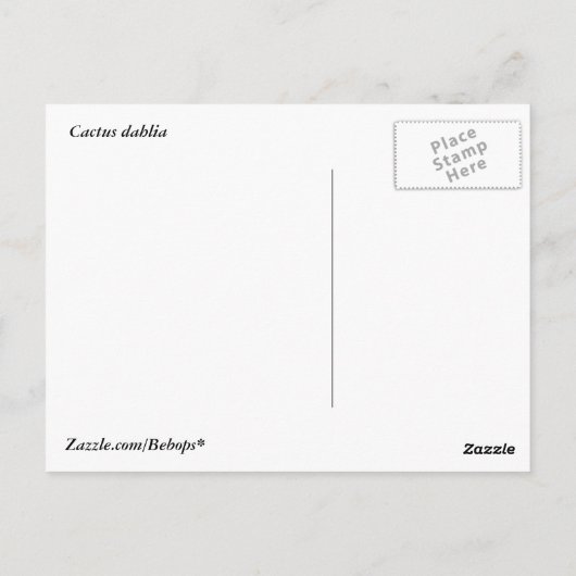 Cactus Dahlia Briefkaart (Achterkant)