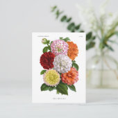 Cactus Dahlias Briefkaart (Staand voorkant)