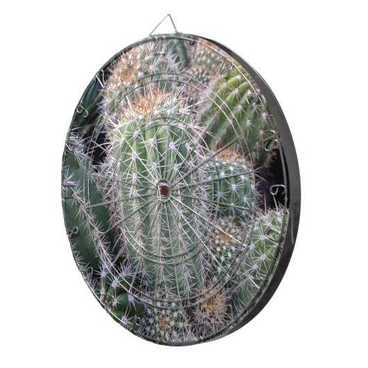 Cactus Dartbord (Voorkant Rechts)