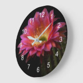 Cactus Delight Blooming Grote Klok (Hoek)