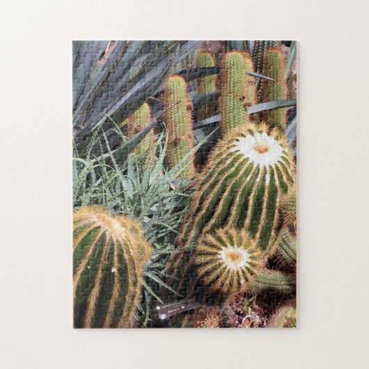 Cactus Desert Arid Garden Natuur Puzzel (Verticaal)