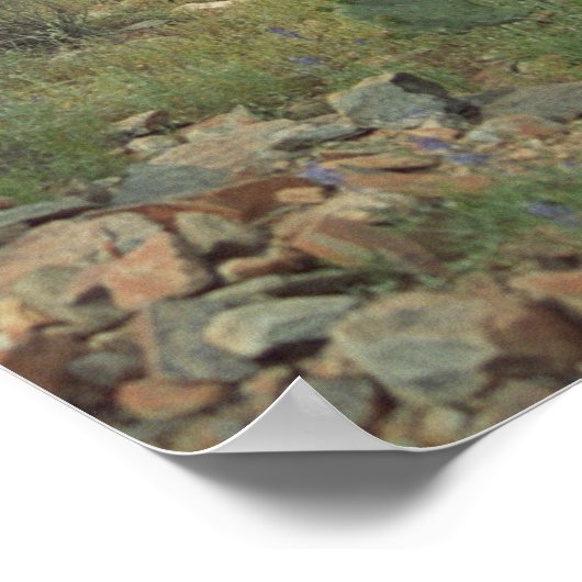 Cactus Desert Coloring Fotografie Poster Art Print (Hoek)