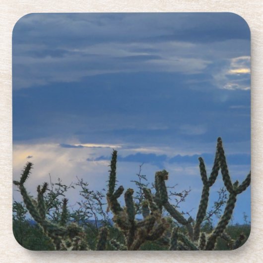 Cactus Desert Monsoon Bier Onderzetter (Voorkant)