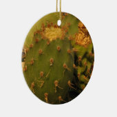 Cactus Detail Fotografie Cirkel Ornament (Rechts)