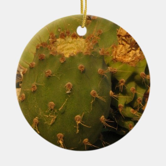Cactus Detail Fotografie Cirkel Ornament (Voorkant)