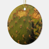 Cactus Detail Fotografie Cirkel Ornament (Links)
