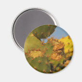 Cactus Detail Fotografie Ronde Magneet (Voorkant / Achterkant)