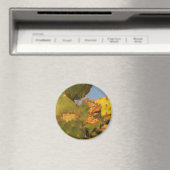 Cactus Detail Fotografie Ronde Magneet (Insitu (Vaatwasser))