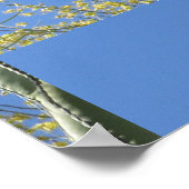 Cactus Dove Poster (Hoek)