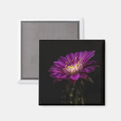 Cactus dramatische afvlakkingscactus magneet (Voorkant / Achterkant)