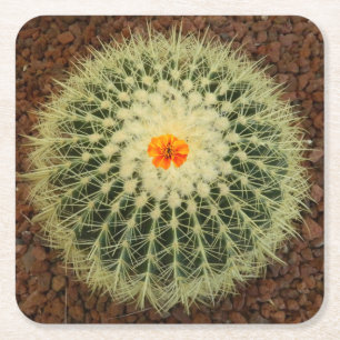 Cactus en bloem kartonnen onderzetters