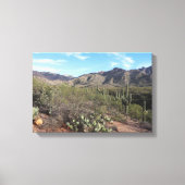 Cactus en Catalina Mountains in Tucson, Arizona Canvas Afdruk (Voorkant)