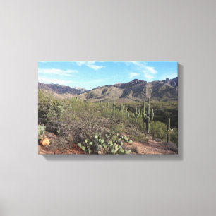 Cactus en Catalina Mountains in Tucson, Arizona Canvas Afdruk