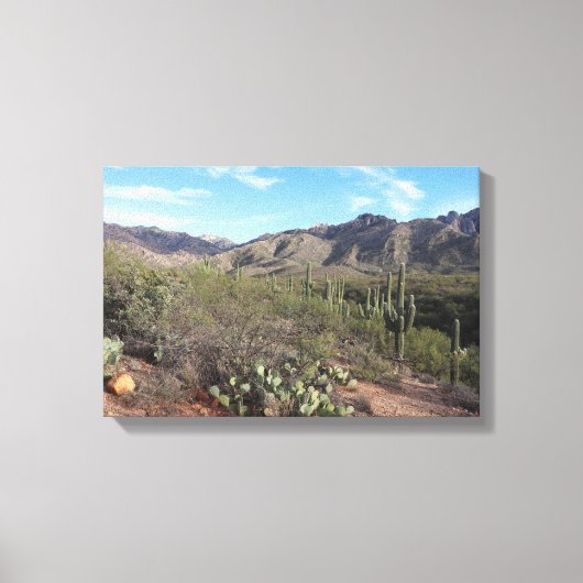 Cactus en Catalina Mountains in Tucson, Arizona Canvas Afdruk (Voorkant)