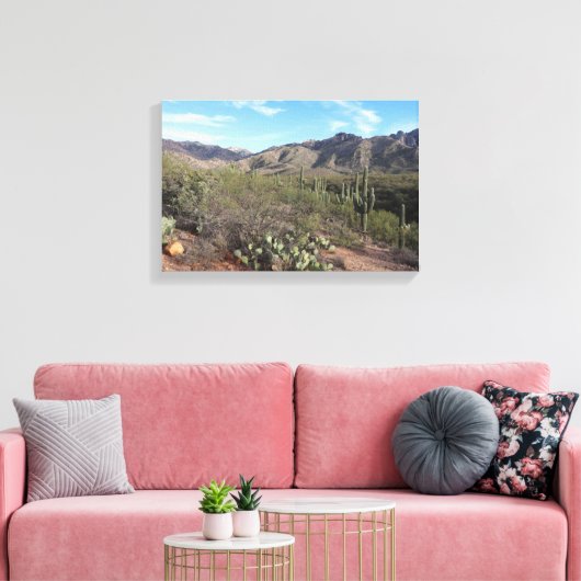 Cactus en Catalina Mountains in Tucson, Arizona Canvas Afdruk (Insitu (Woonkamer))