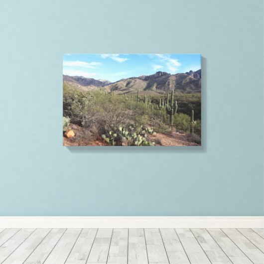 Cactus en Catalina Mountains in Tucson, Arizona Canvas Afdruk (Insitu (Houten vloer))