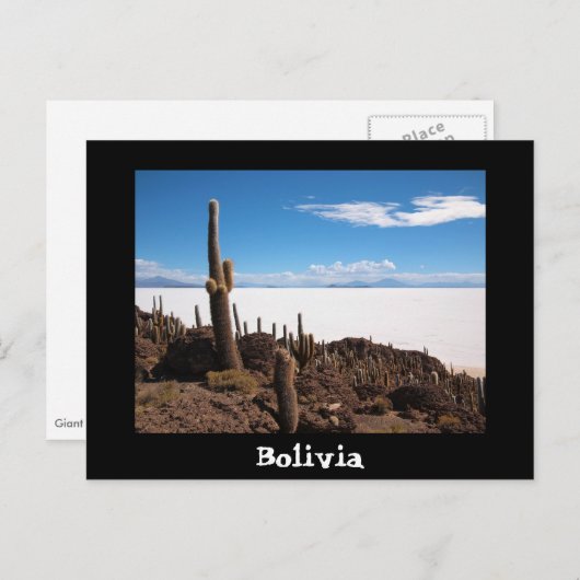 Cactus en Salar de Uyuni text briefkaart (Voorkant / Achterkant)