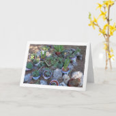 Cactus en Succulent Plant Rockery Kaart (Gele Bloem)
