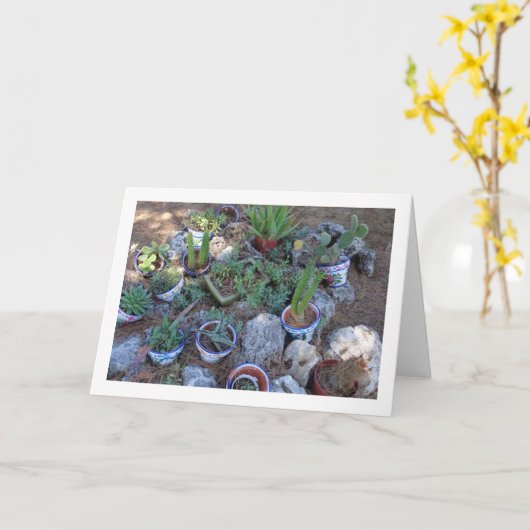 Cactus en Succulent Plant Rockery Kaart (Gele Bloem)