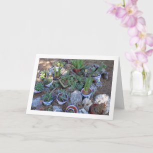 Cactus en Succulent Plant Rockery Kaart