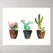 Cactus en Succulent Trio One Poster (Voorkant)