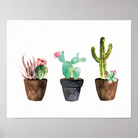 Cactus en Succulent Trio One Poster (Voorkant)