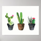 Cactus en Succulent Trio Two Poster (Voorkant)