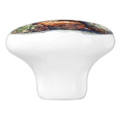 Cactus en succulenten keramische knop (Zijkant)