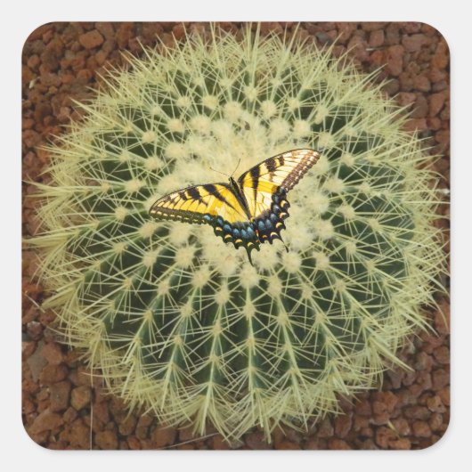 Cactus en vlinder vierkante sticker (Voorkant)
