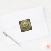 Cactus en vlinder vierkante sticker (Envelop)