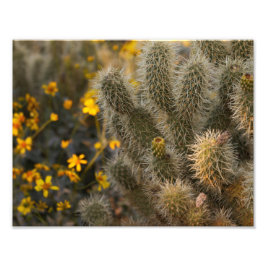 Cactus en wilde bloemen foto afdruk