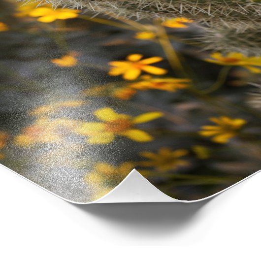 Cactus en wilde bloemen foto afdruk (Hoek)