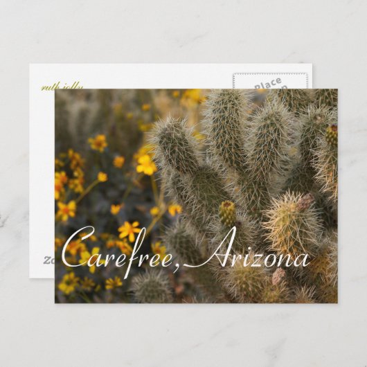 Cactus en wilde bloemen in Carefree, Arizona Briefkaart (Voorkant / Achterkant)