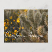 Cactus en wilde bloemen in Carefree, Arizona Briefkaart (Voorkant)