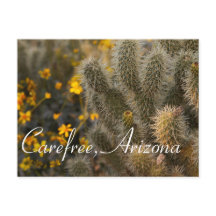 Cactus en wilde bloemen in Carefree, Arizona