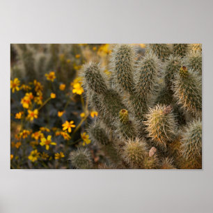 cactus en wilde bloemen poster
