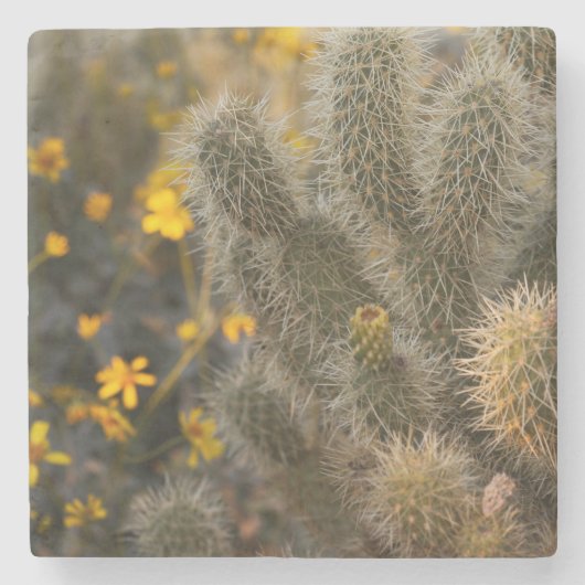 cactus en wilde bloemen stenen onderzetter (Voorkant)