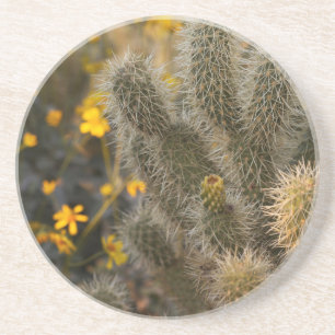 cactus en wilde bloemen zandsteen onderzetter