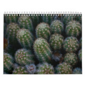 Cactus-familie Kalender (Hoes)