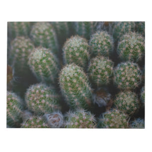 Cactus-familie Notitieblok
