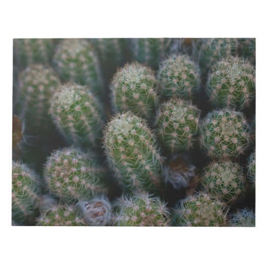Cactus-familie Notitieblok (Voorkant)