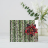 Cactus Feestdagenkaart (Staand voorkant)
