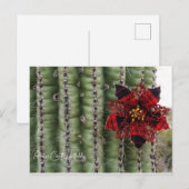 Cactus Feestdagenkaart (Voorkant / Achterkant)