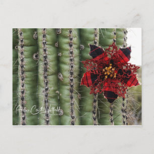 Cactus Feestdagenkaart