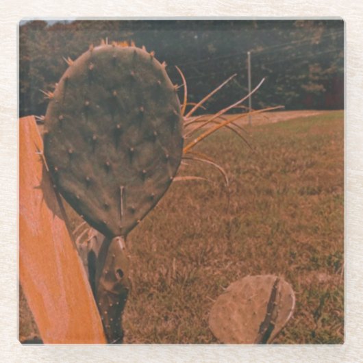 Cactus Field Glass Onderzetter (Voorkant)