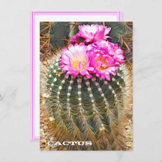 Cactus: Flat Card (Voorkant / Achterkant)