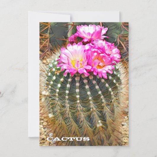 Cactus: Flat Card (Voorkant)