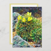 Cactus: Flat Card (Voorkant / Achterkant)