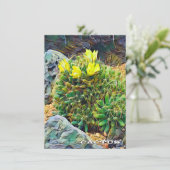 Cactus: Flat Card (Staand voorkant)