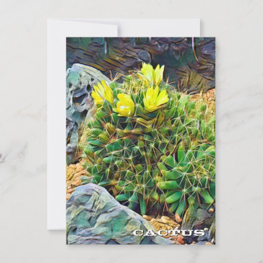 Cactus: Flat Card (Voorkant)